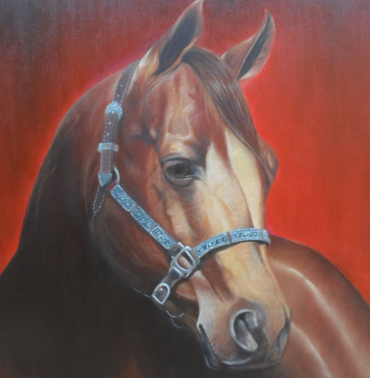 Cavalo - 1 Oil Canvas Animals