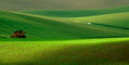 Campos verdes