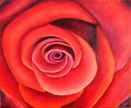 Rosa