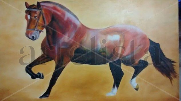 caballo Oil Canvas Animals