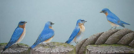 Blue Bird