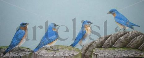 Blue Bird