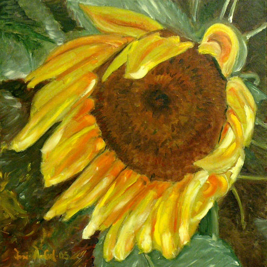 girasol meloso Oil Canvas Others