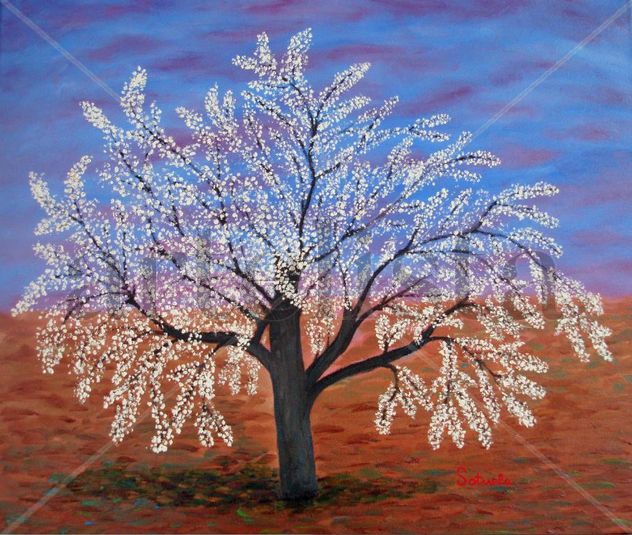 Cerezo en flor.JPG