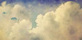 Peces voladores de nubes
