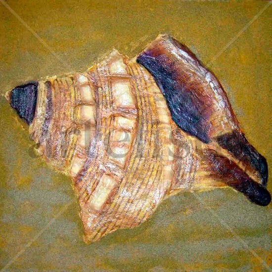 CARACOLA EN RELIEVE MODELADA SOBRE TABLERO Oil Panel Marine Painting