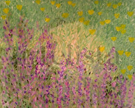 Recuerdos de lavanda