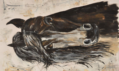 CABALLOS