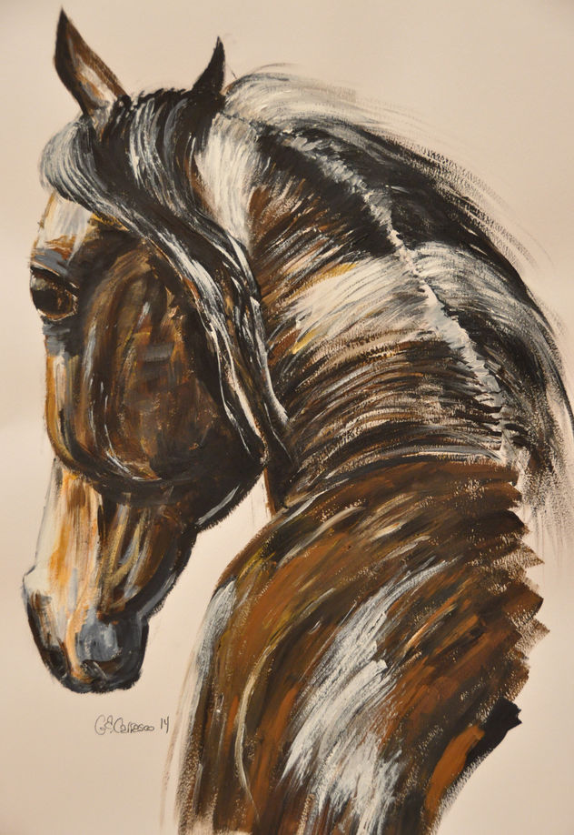CABALLO VIEJO