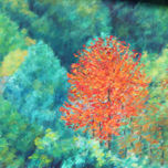 Bosques thumbnail 1