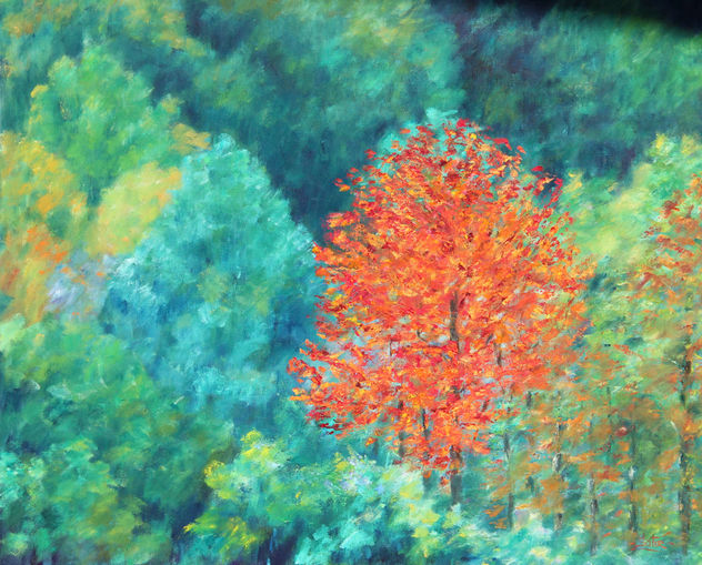 Bosque-17