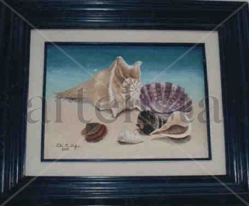 Conchas y caracoles Oil Canvas Marine Painting