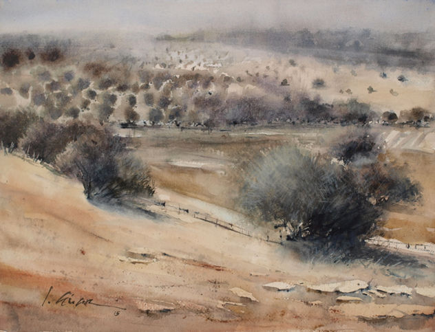 olivares