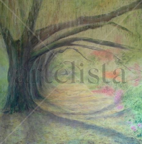 La magia del bosque