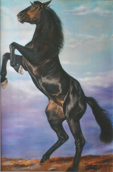 Caballo negro Óleo Tela Animales