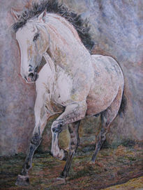 Caballo andaluz