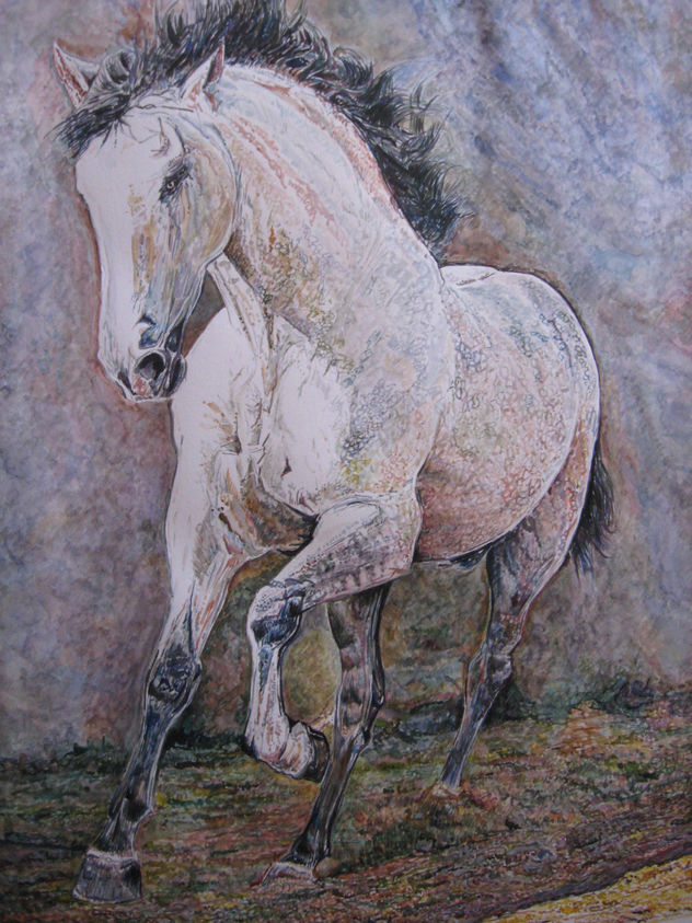 caballo andaluz