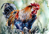 Rooster