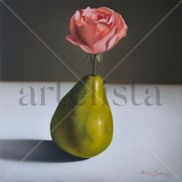 Rosa en Pera