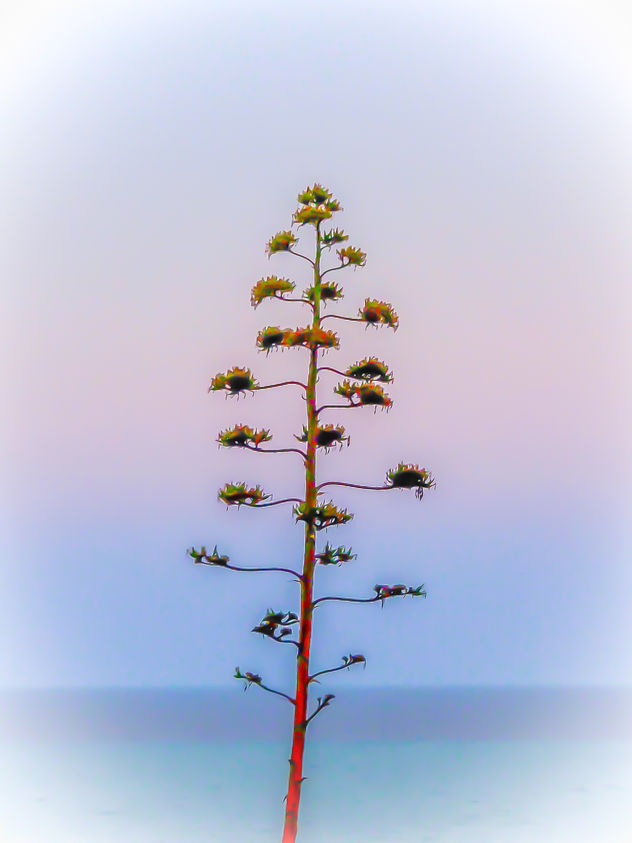 FM-14-12.001 - Árbol de Navidad psicodelisurrealista / Arbre de Noël psychédélisurréaliste