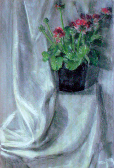 geranios2   ( Enmarcada ) Pastel Papel Floral