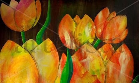 tulipanes