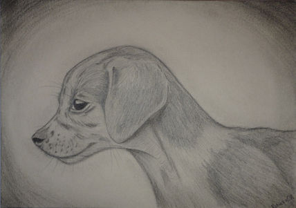 Mascota