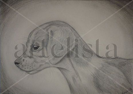 Mascota