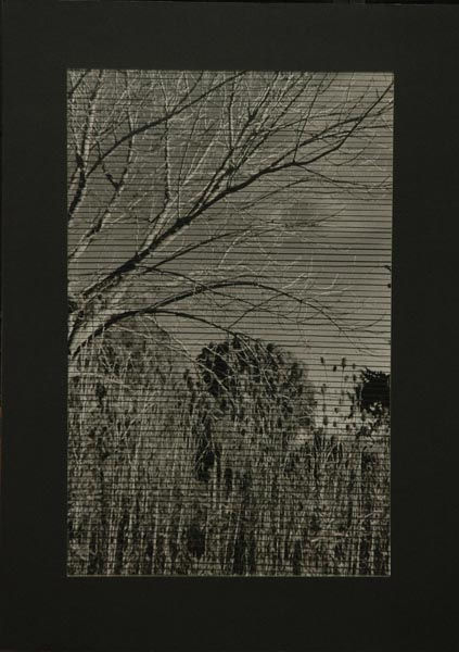 OTOÑO 2