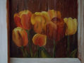 Tulipanes