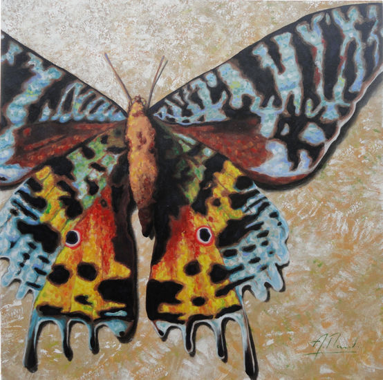 MARIPOSA en colores Mixed media Canvas Animals