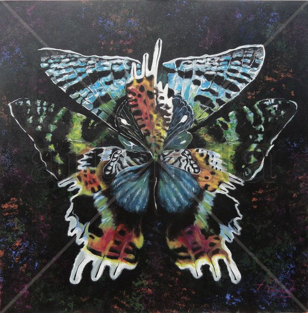 Alas de mariposas