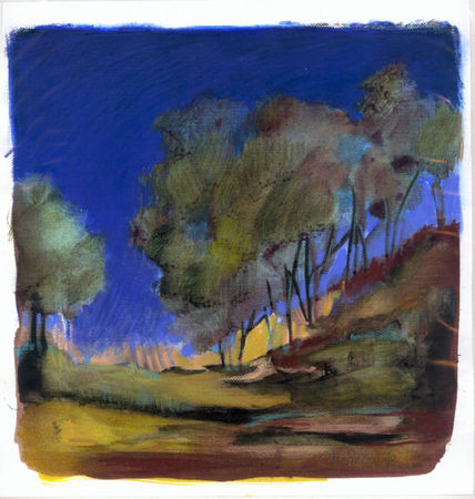Paisaje5