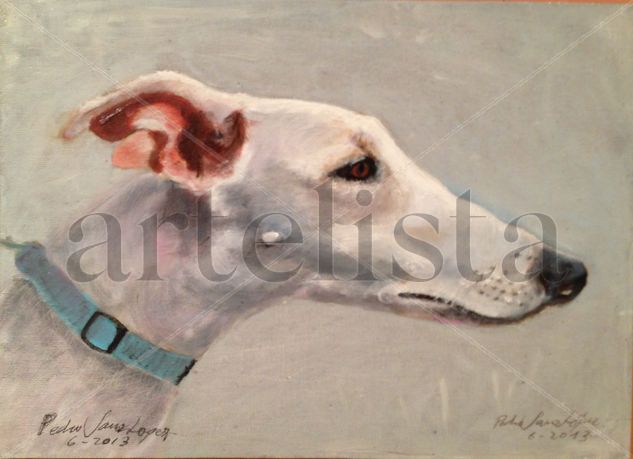 Galgo, cabeza blanca,mascotas,perros,retratos,cuadros,pintura,oleo, Oil Panel Animals