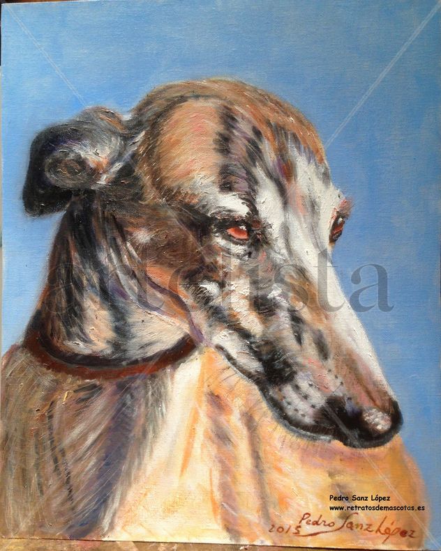 Galgo, cabeza al sol,galgos,perros,mascotas,animales,caza,vintaje,retro,cuadros,pintura,realista,realismo,figurativo