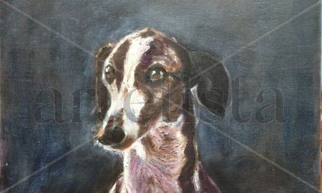 Animales - Mascotas - Pets