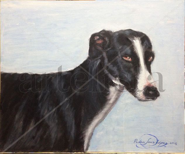 Galgo, negro a derecha,mascotas,perros,galgos,animales,cuadros,pintura,oleos,realismo,figurativo,caza,galgos.peludos, Óleo Tabla Animales