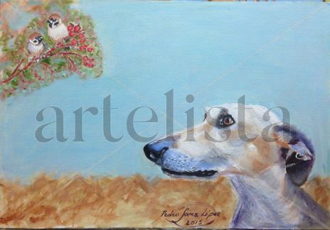 Galgo,mira,pájaros,...