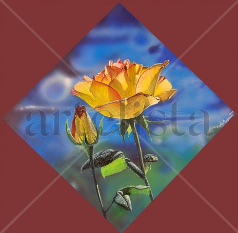 Rosa