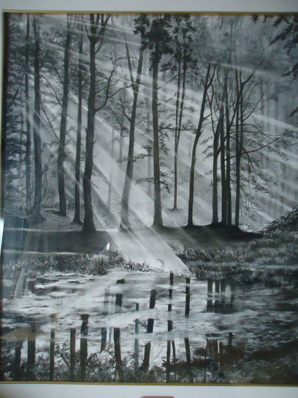 Reflejos
