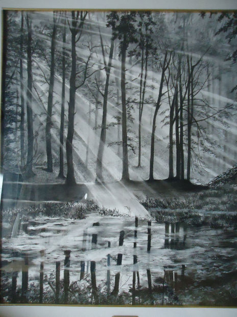 Reflejos