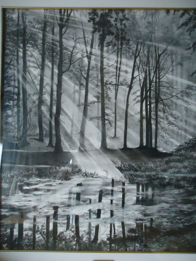 REFLEJOS