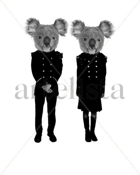 ( Koalas ) [ALEGORÍA]