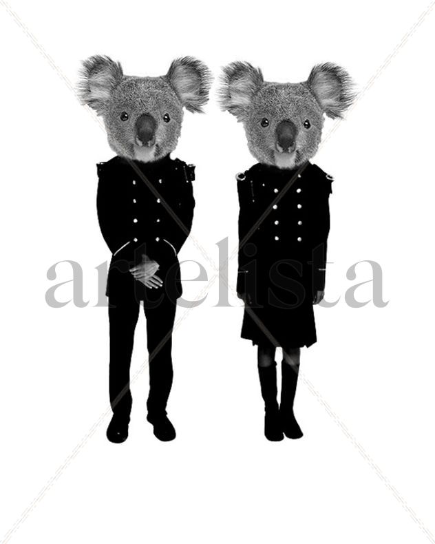 ( Koalas ) [ALEGORÍA]