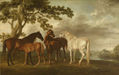 CABALLOS