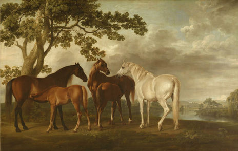 Caballos