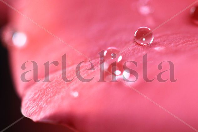 gotas de agua