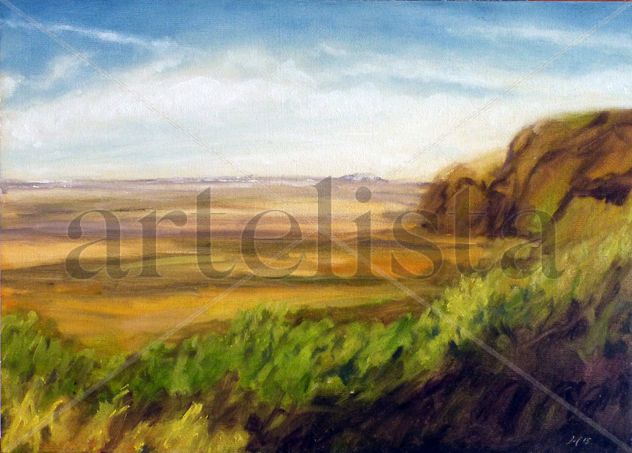 PAISAJE WESTERN