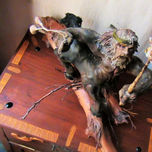 Centauros Gauchos thumbnail 1