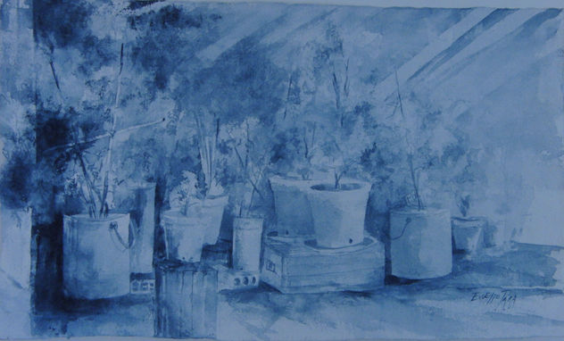TERRAE INDIGO